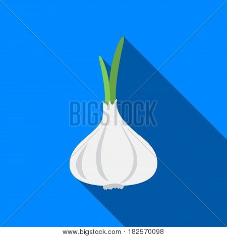 Garlic icon flate. Singe vegetables icon from the eco food flate.