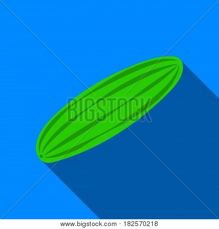Cucumber icon flate. Singe vegetables icon from the eco food flate.