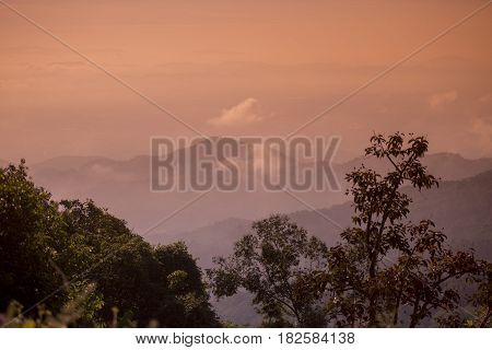 Thailand Chiang Rai Doi Tung Landscape