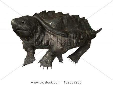 3D Rendering Alligator Snapping Turtle On White