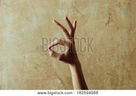 Female Hand Showing Ok Gesture