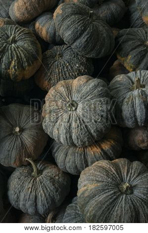 Thailand Chiang Rai Market Fegetable Pumpkin