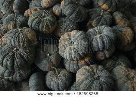 Thailand Chiang Rai Market Fegetable Pumpkin