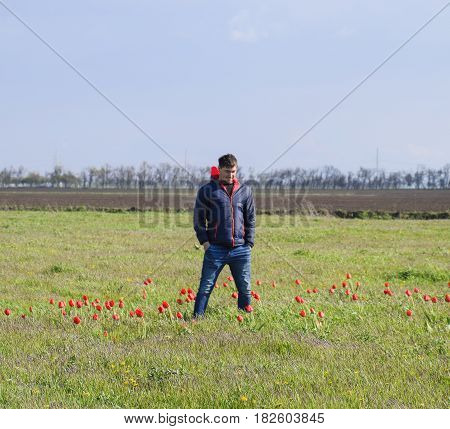 A Man In A Jacket On A Field Of Tulips. Glade With Tulips