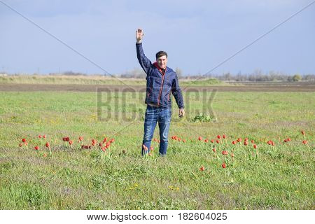 A Man In A Jacket On A Field Of Tulips. Glade With Tulips