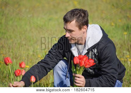 A Man In A Jacket On A Field Of Tulips. Glade With Tulips. A Man Is Tearing Tulips In A Bouquet