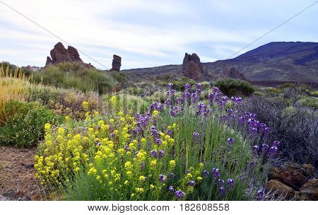 Beautiful view of Teide National Park in Tenerife,Canary Islands,Spain.