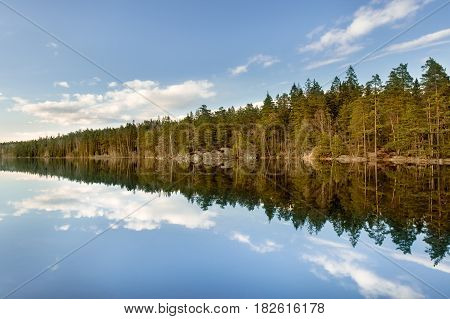 Evening light on forest trees by lake with perfect reflection in water
