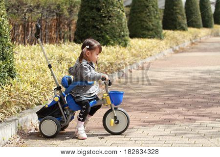 Japanese Girl Riding On The Tricycle (2 Years Old)
