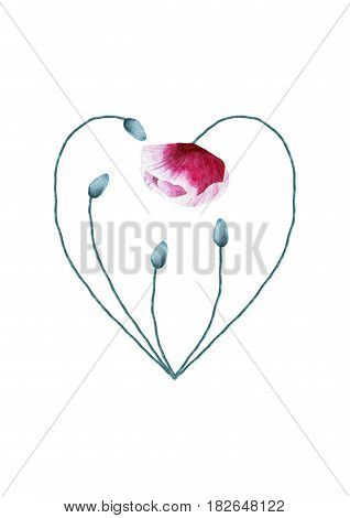Watercolor hand painted poppy flower heart isolated on white background