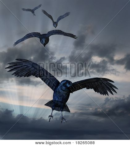 Crows Flying