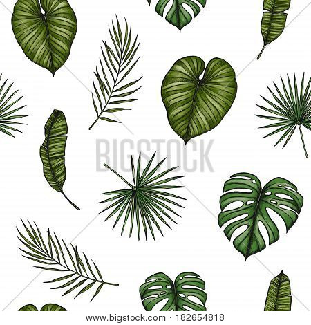 Tropical Seamless Pattern. Background With Palm Leaves (monstera, Areca Palm, Fan Palm, Banana Leave