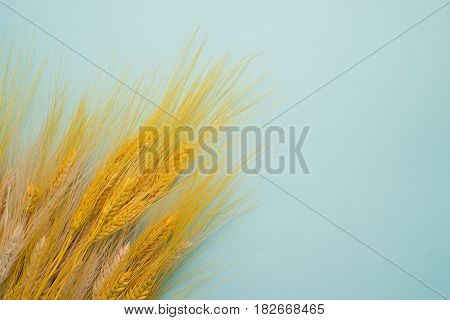 Spikelets On Background