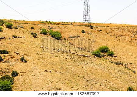 Yellow Mountains And Beautiful Panoramic View