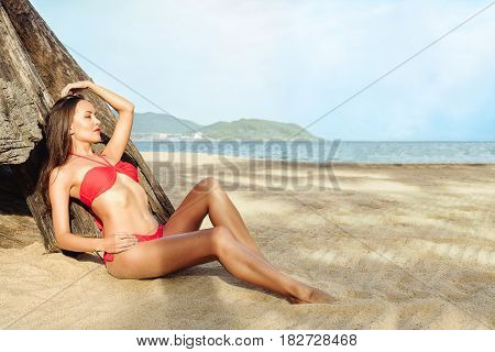 Relaxed girl enjoying tropical beach. Woman sitting near dry old tree. Beautiful Brunette young attractive girl in red bikini sunbathing on a beach