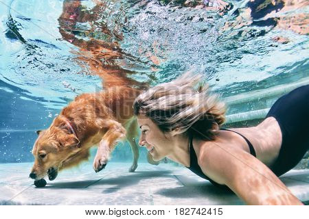 Underwater action. Smiley woman play with fun training golden retriever puppy in swimming pool - jump and dive. Active water games with family pet popular dog breed like companion on summer vacation
