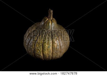 Single Whole Pumpkin
