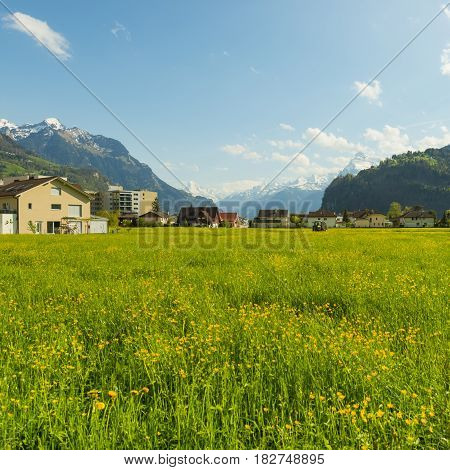 Panorama of the town Brunnen. Traditional Alpine meadows with luscious bright grass. Tractor fertilizes the field. Travel to Europe.