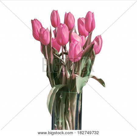 Spring bouquet of pink tulips isolated on the white background in a bucket version 6