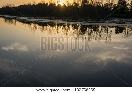 River and forest in the evening. Sunset. Ukraine. Europe.