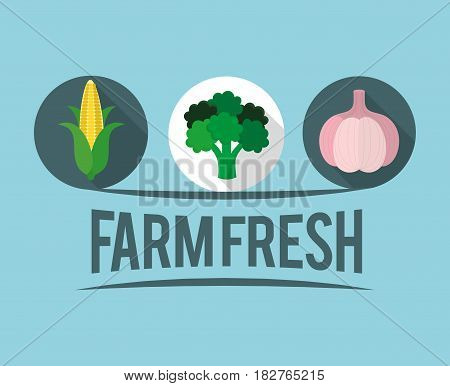 farm fresh vegetables liifestyle healthy sticker vector illustration eps 10