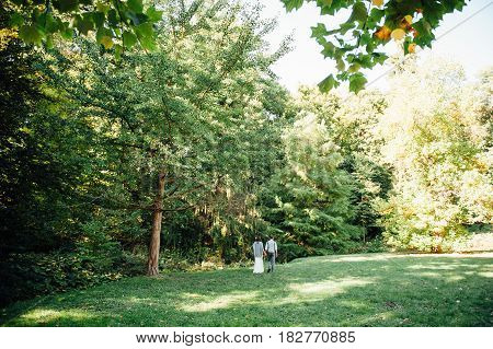 Happy Couple Walking In Summer Park