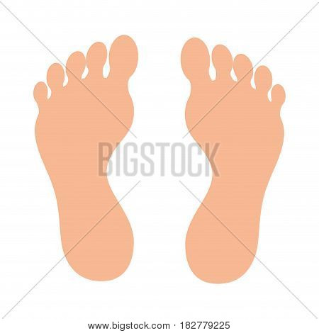 human foot plant icon vector illustration design