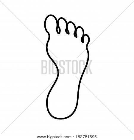 human foot plant icon vector illustration design