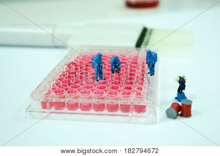 Miniature people scientist at work on microtiter plate