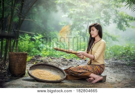 Beautiful girl winnowing rice separate between rice and rice husk