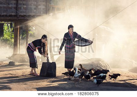 Asian girls (Hmong) feeding chickens at Laos countryside