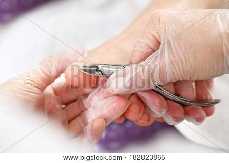 Pedicure, cutting skins.
Pedicure, nail clipping.
Pedicure.
Pedicure medicinal.
Pedicure in the beauty salon.