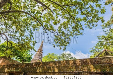 Wat Umong Suan Puthatham Is A 700 Year Old Buddhist Temple In Chiang Mai, Thailand.
