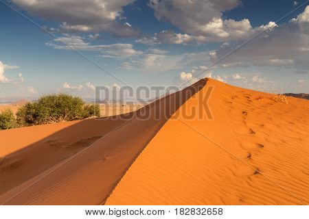 Orange Elim dune at Sossusvlei Namibia Africa