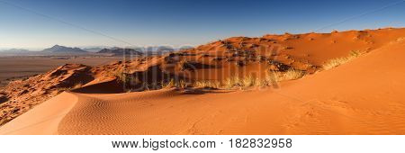 Panorama of the Elim dune Namibia Africa