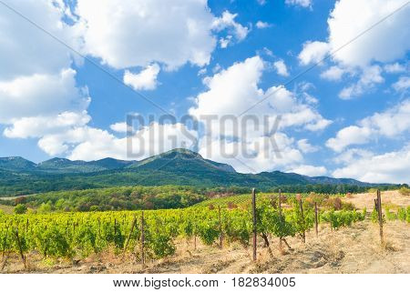 Mountain landscape near Gurzuf resort Crimea Ukraine.
