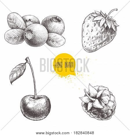 Hand drawn sketch style berries set isolated on white background. Raspberry strawberry cherry and blueberry. Healthy food vector illustration.