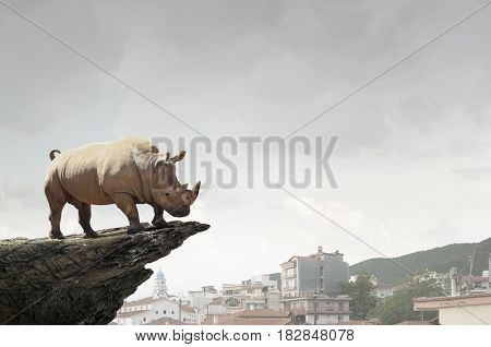 Rhino on rock top . Mixed media