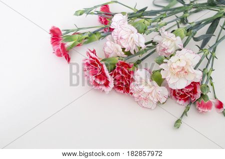 Bunch of fresh pink carnations on a light tablecloth. Horizontal format. Cut beautiful spring flowers. Mother's Day background. Top view. Holiday and seasonal design. Greeting card and copy space.