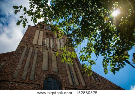 Sun shining true a tree in front of ancient church