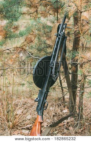 Dyatlovichi, Belarus - October 1, 2016: Old Soviet Russian Degtyaryov DP Machine Gun Of World War II Leaning Against Trunk Of Tree. Weapon Of Red Army.