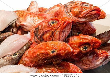 fish food on ice sea market. Seafood