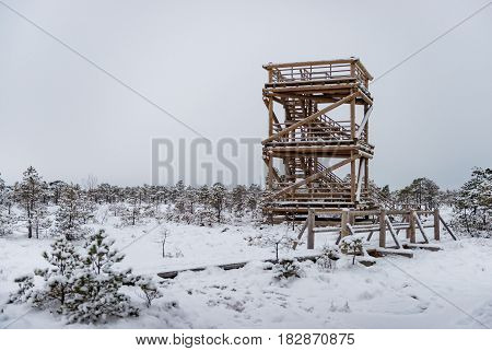 Snowy winter day at swamp. Small swamp trees and watchtower.