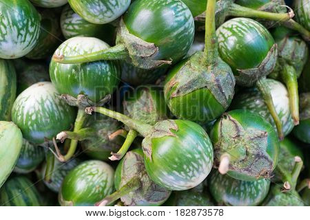 thai fresh green eggplants in asian market