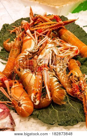 Shrimps - boiled red seafood on leaf