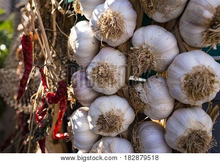 Closed up of Garlic and dried red chilli in sun shine market.