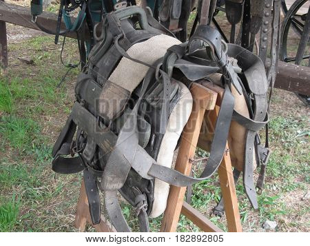 Worn leather horse bridles and bits hanging on wooden fence