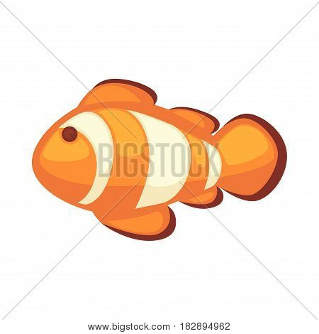 Clownfish or anemonefish vector illustration isolated on white background. Cartoon fish in orange and whitey colors, home pet aquarium habitant, sticker or label logo in flat style design