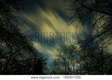 Clouds Passing In The Moon Light By Over A Forest And On A Night Sky Full Of Stars