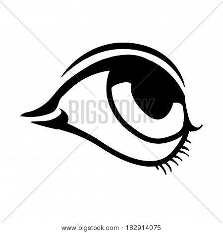 Human eye symbol icon vector illustration graphic design